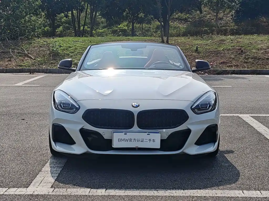 BMW Z4 — миниатюра 2