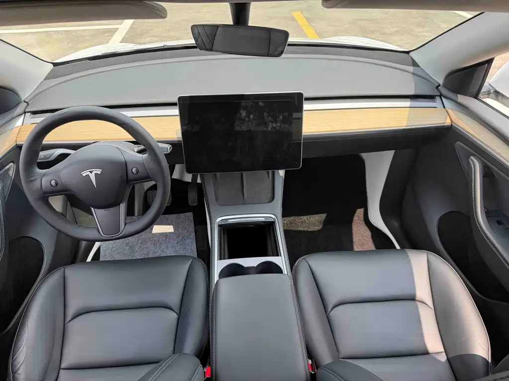 Tesla Model Y — миниатюра 5