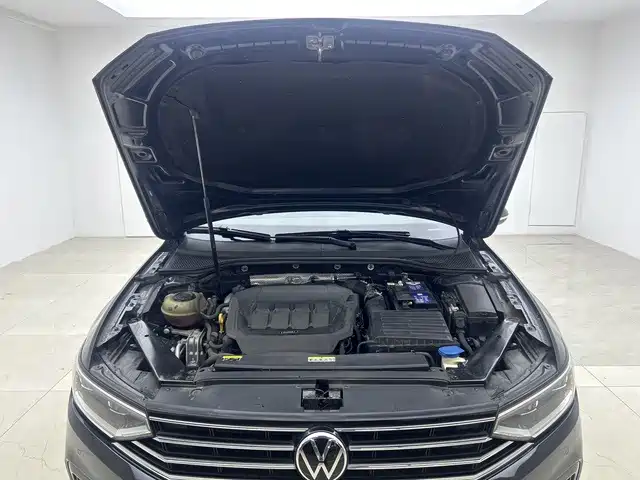 Volkswagen Magotan — миниатюра 10