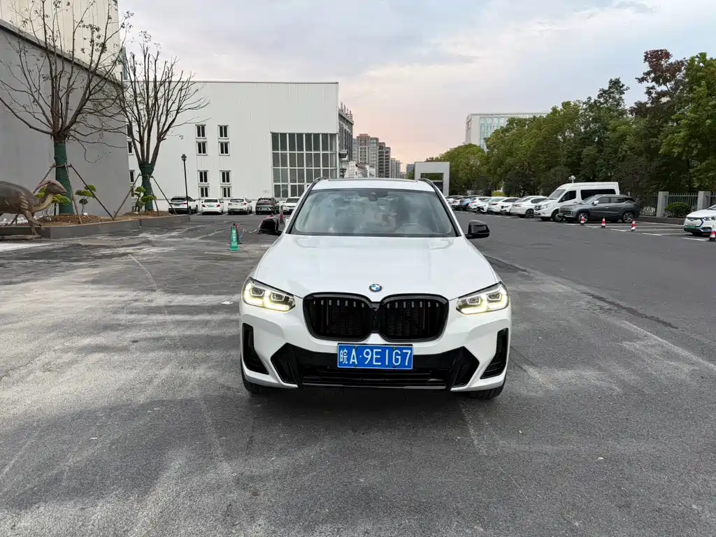 BMW X3 — миниатюра 2