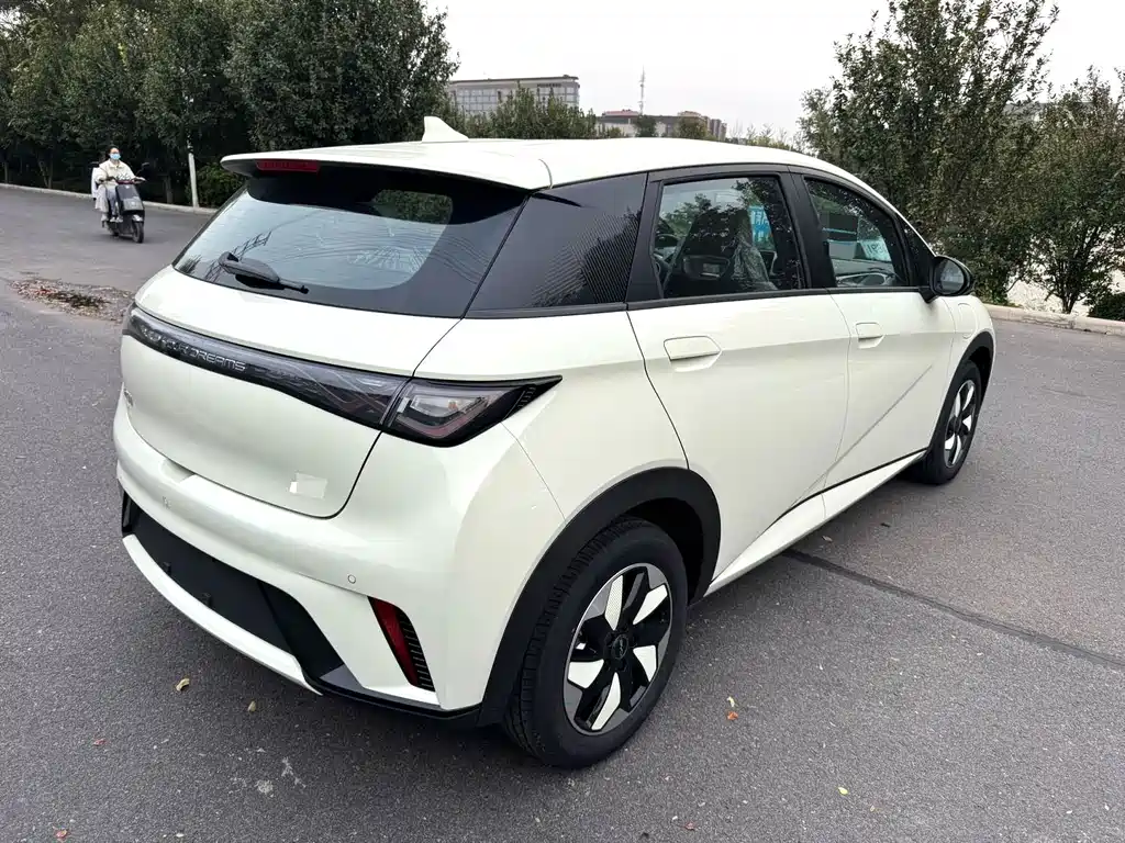 BYD Dolphin — миниатюра 8