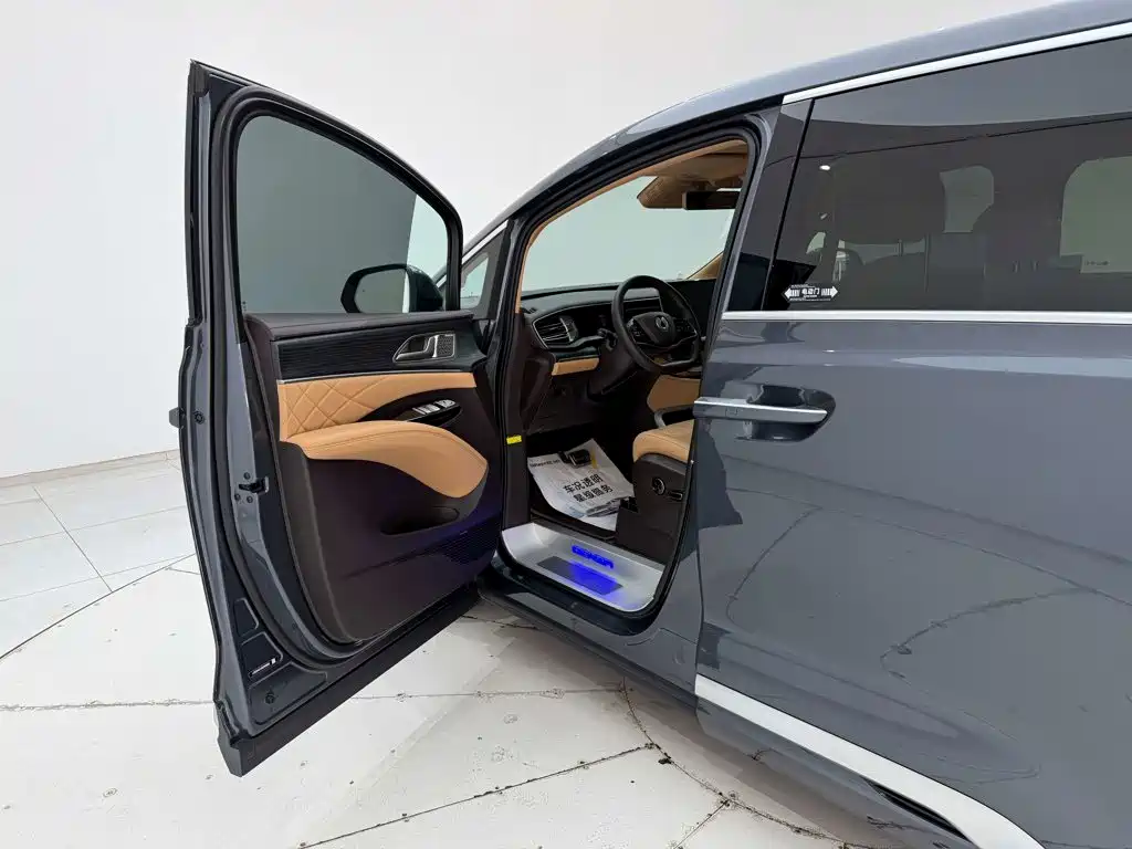 Denza Denza D9 — миниатюра 22