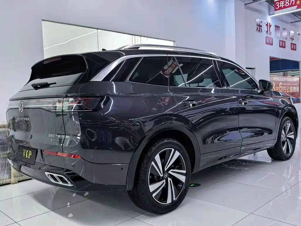 Volkswagen Tavendor — миниатюра 7