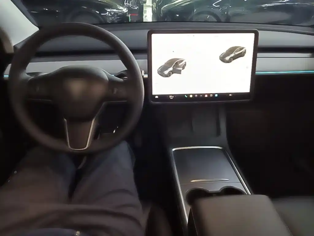 Tesla Model Y — миниатюра 10