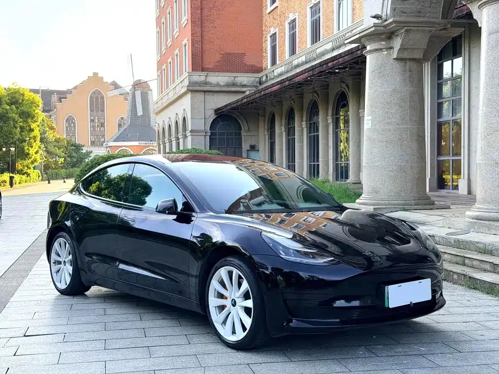 Tesla Model 3 — миниатюра 3