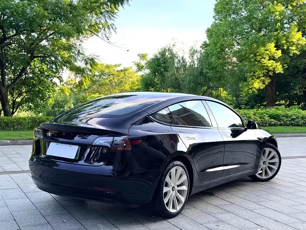 Tesla Model 3 — миниатюра 13
