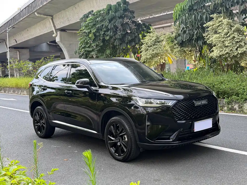 Haval H6 — миниатюра 3