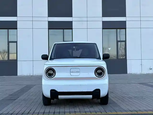 GEELY GALAXY PANDA 2024