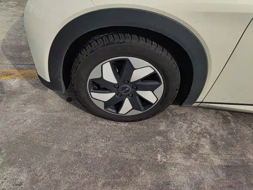 BYD Dolphin — миниатюра 23