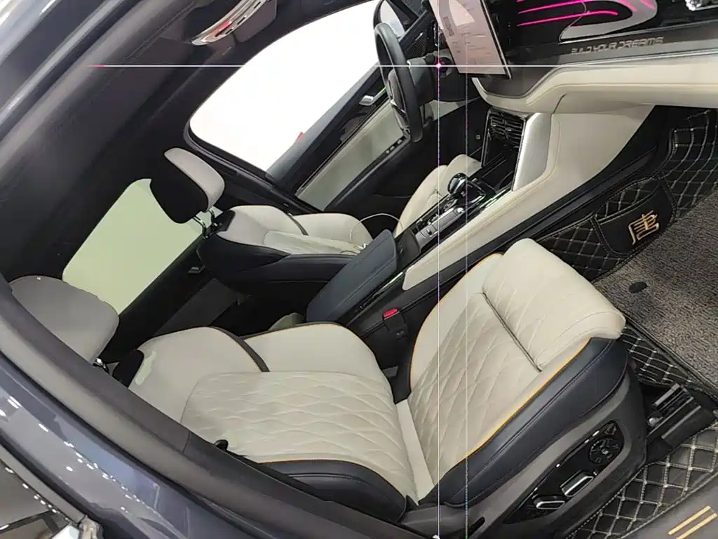 BYD Tang New Energy — миниатюра 25