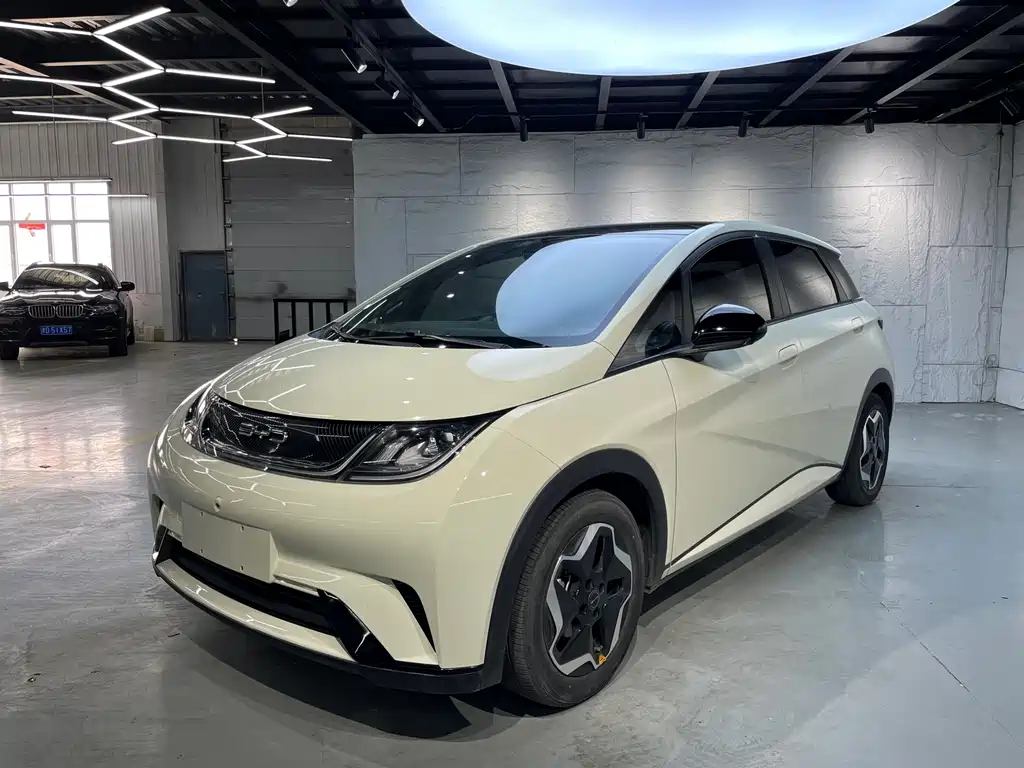 Byd Dolphin 2023