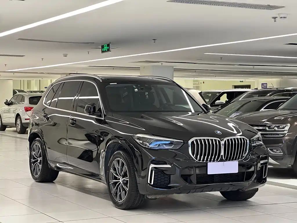 BMW X5 — миниатюра 3