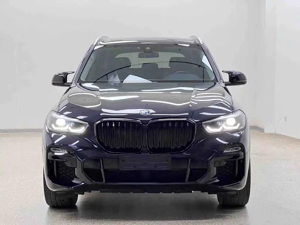 BMW X5 (Import) — миниатюра 2