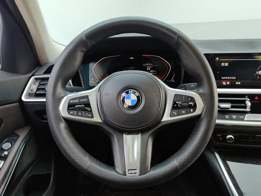 BMW 3 Series — миниатюра 15