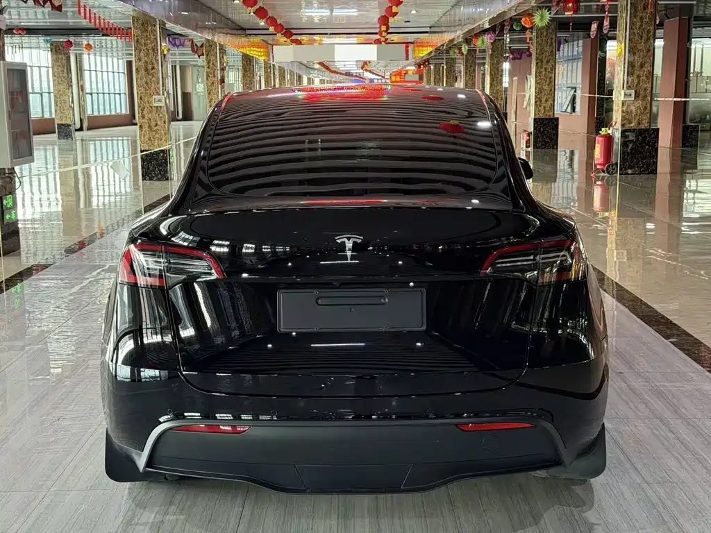 Tesla Model Y — миниатюра 5