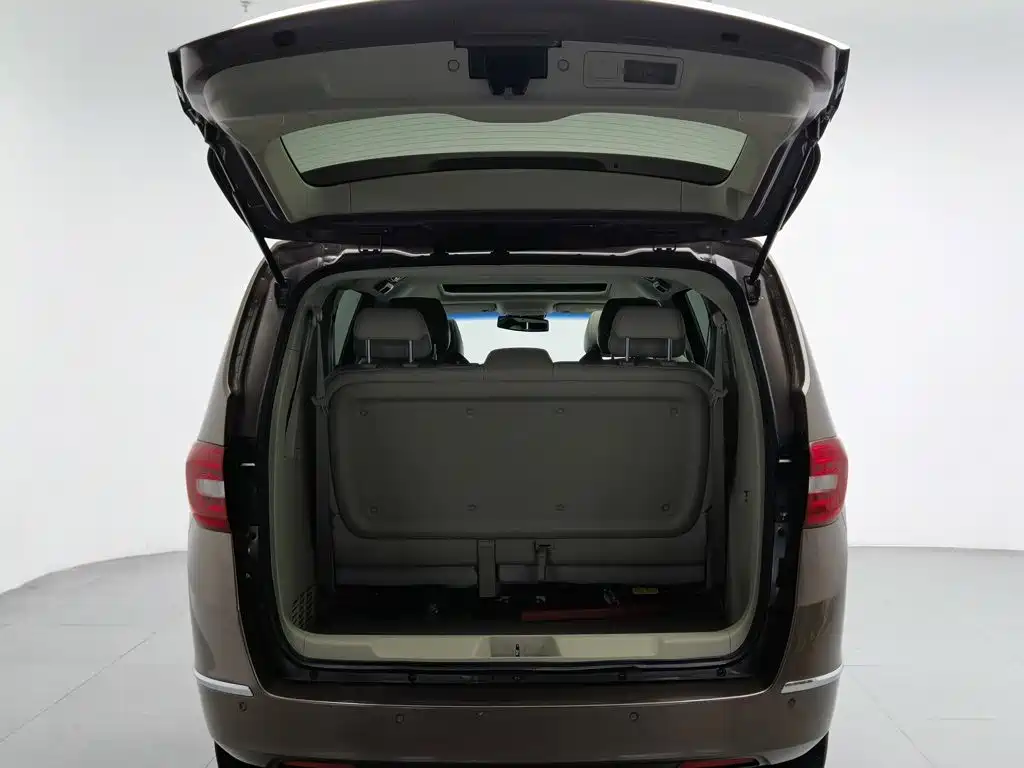 Buick GL8 — миниатюра 16