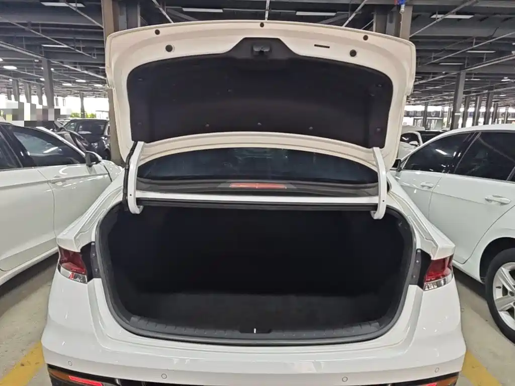 Hyundai Fista — миниатюра 19