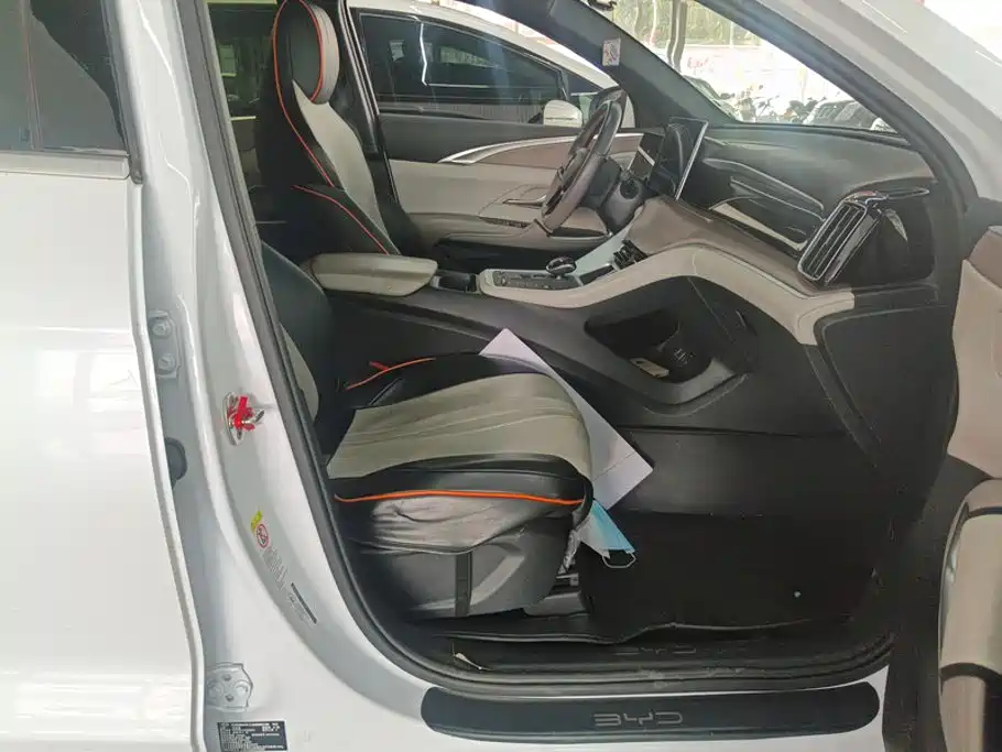 BYD Pro New Energy — миниатюра 8