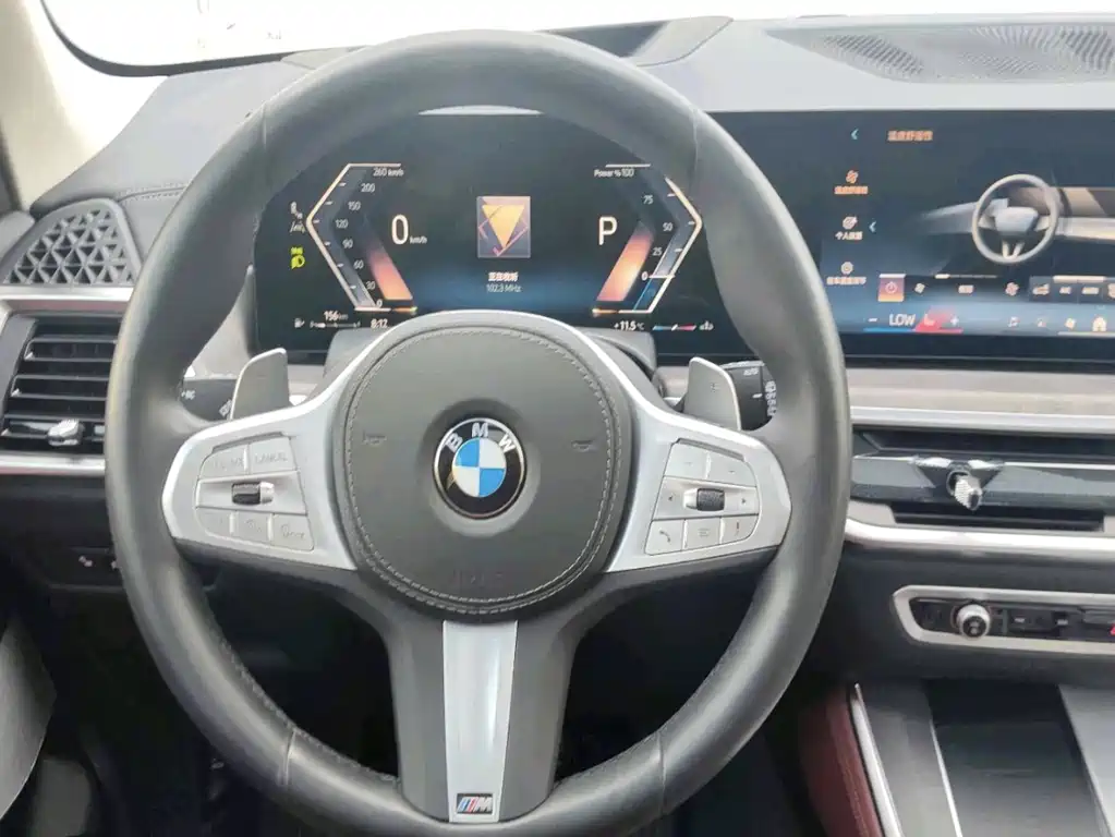 BMW X5 — миниатюра 9