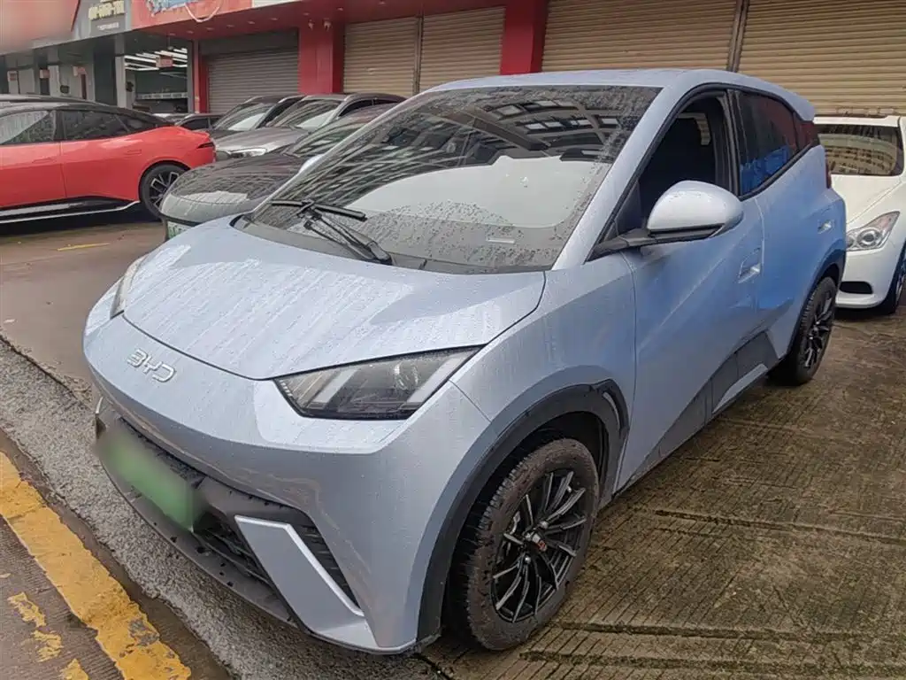 Byd Seagull 2024