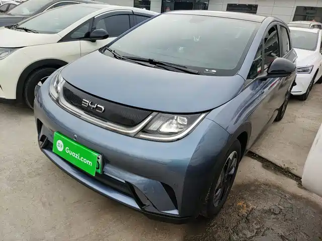 BYD DOLPHIN 2024