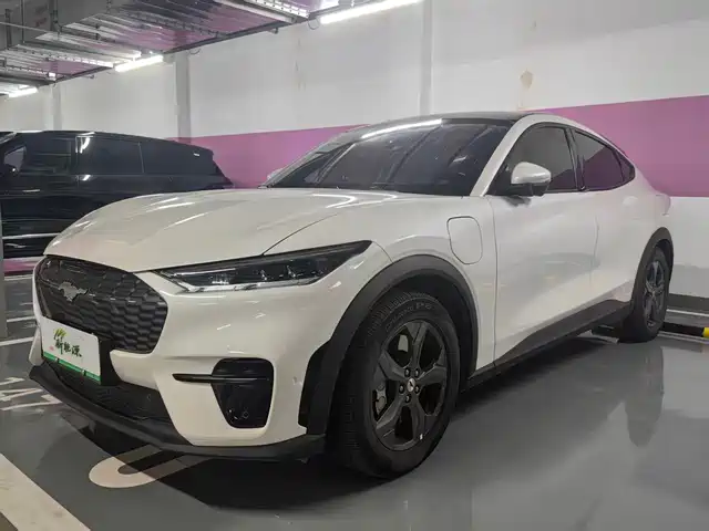 FORD ELECTRIC HORSE 2022