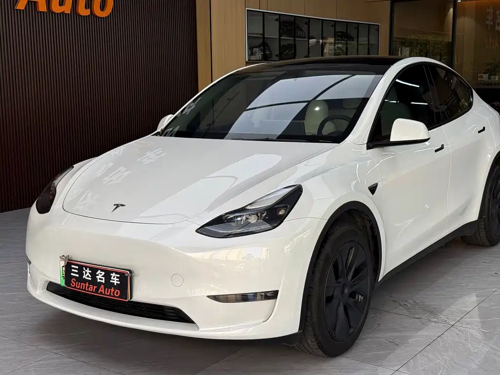 Tesla Model Y — миниатюра 9