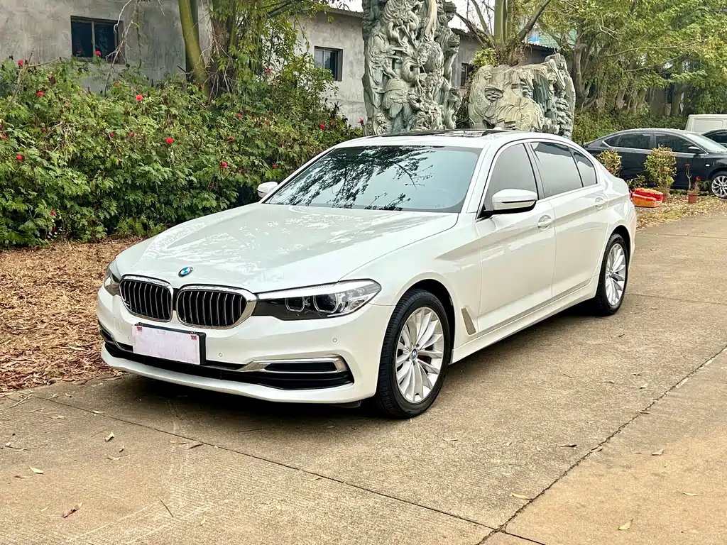 BMW 5 Series 2019