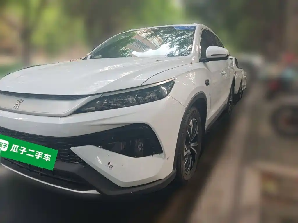 BYD Pro New Energy
