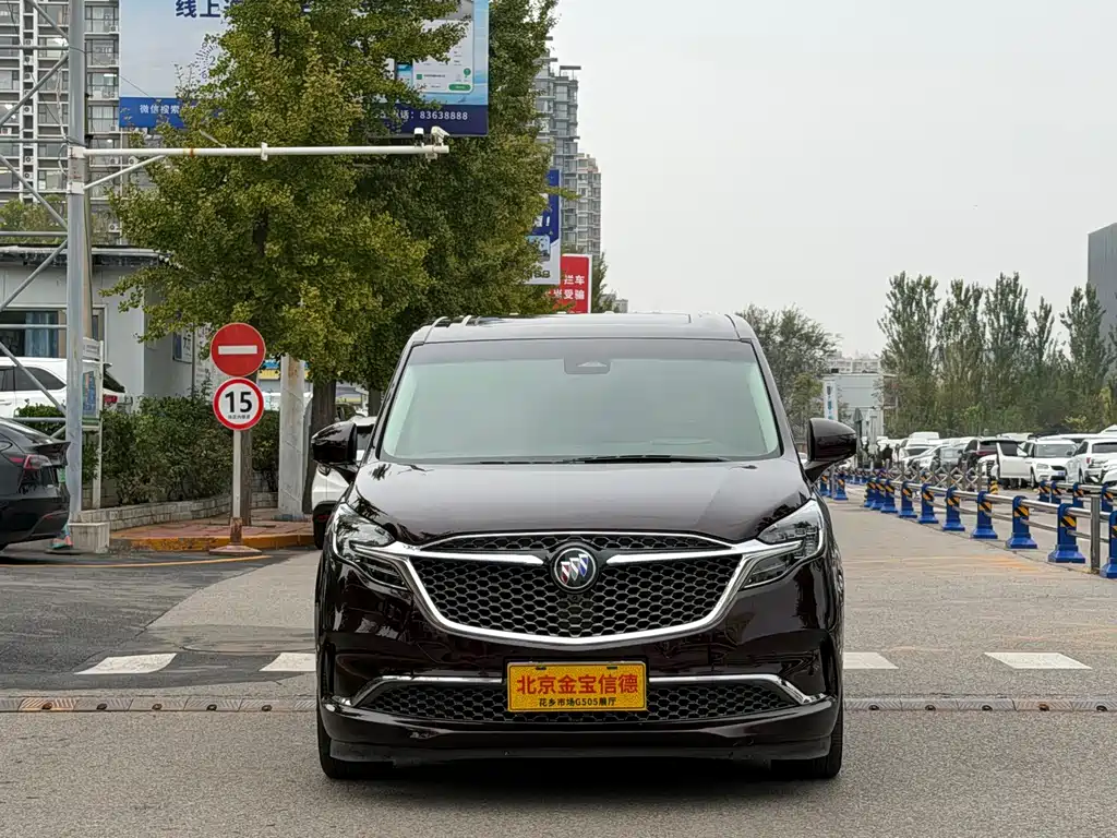 Buick GL8 — миниатюра 2