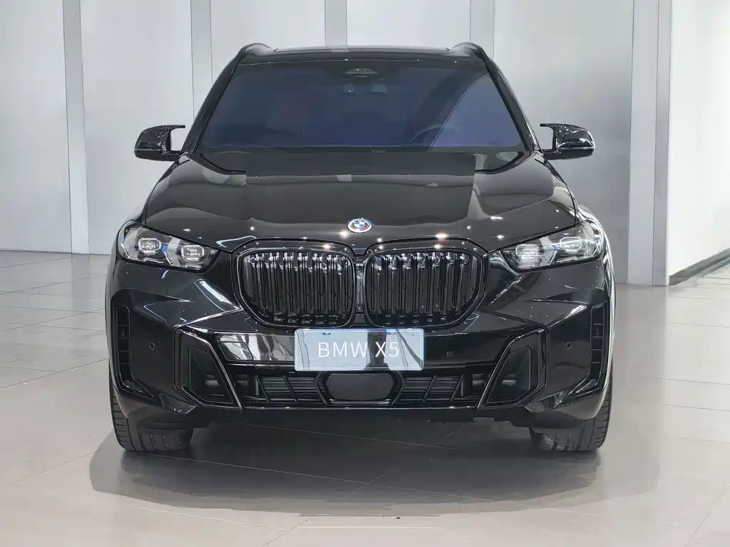BMW X5 — миниатюра 2