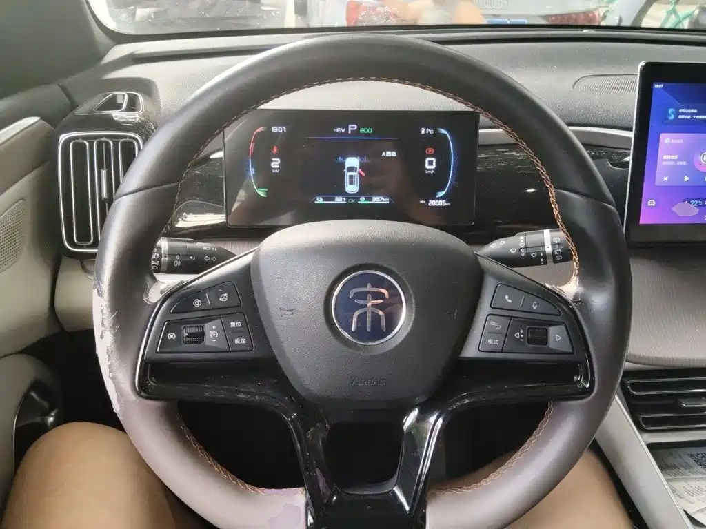 BYD Pro New Energy — миниатюра 6