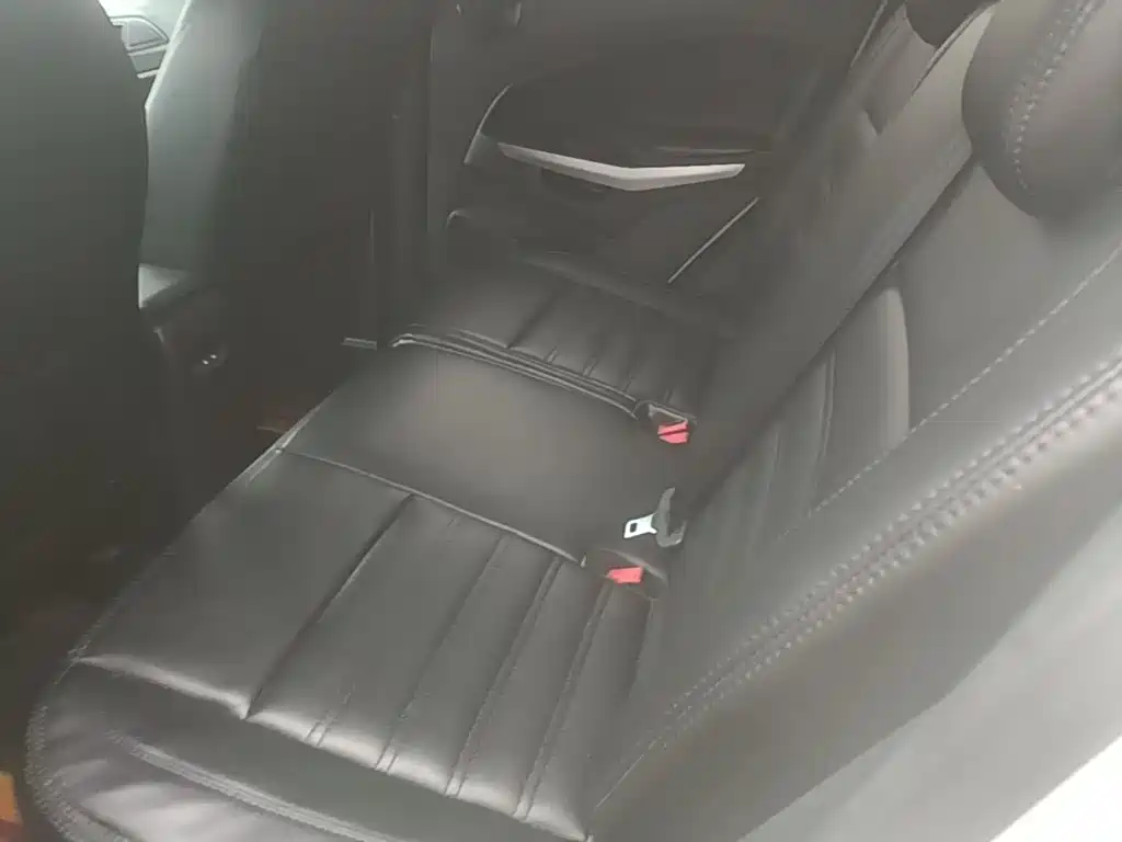 Ford Ecosport — миниатюра 17