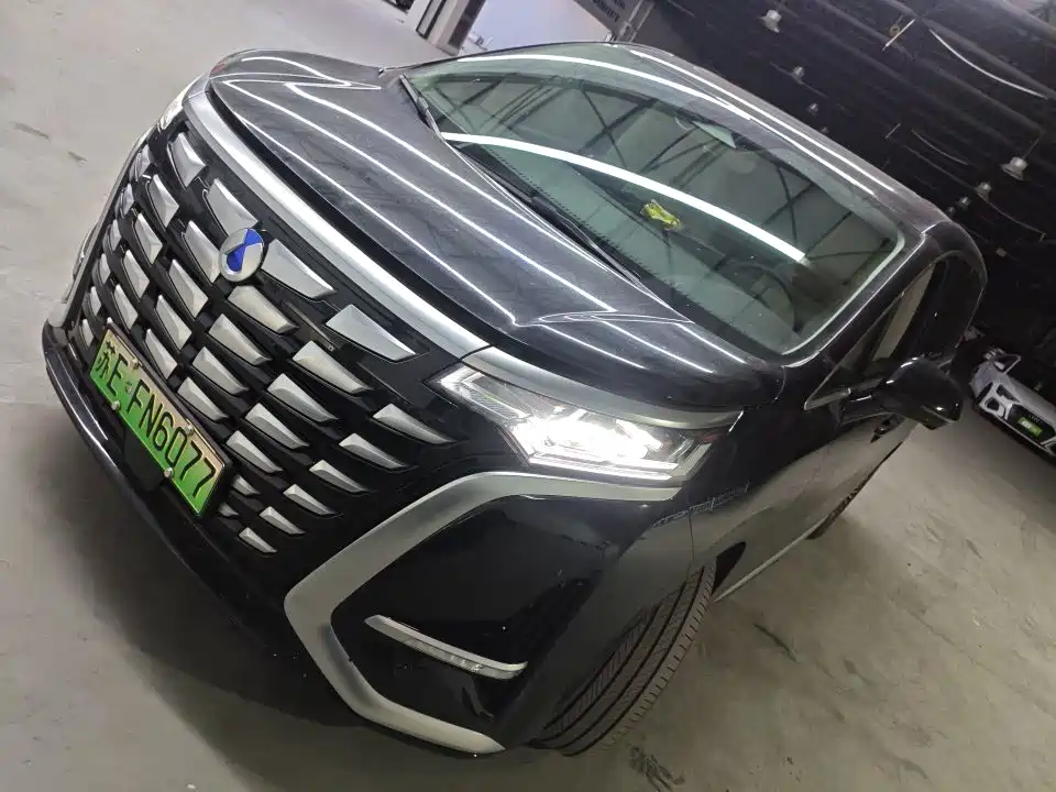 Denza Denza D9