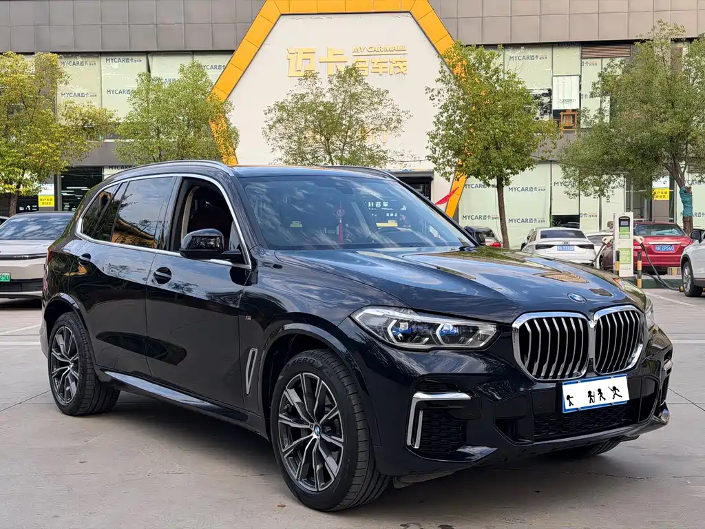 BMW X5 — миниатюра 3