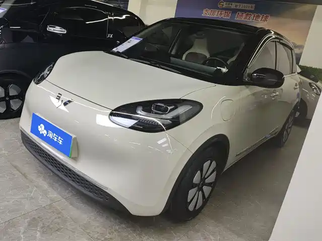 WULING WULING BINGGUO 2024