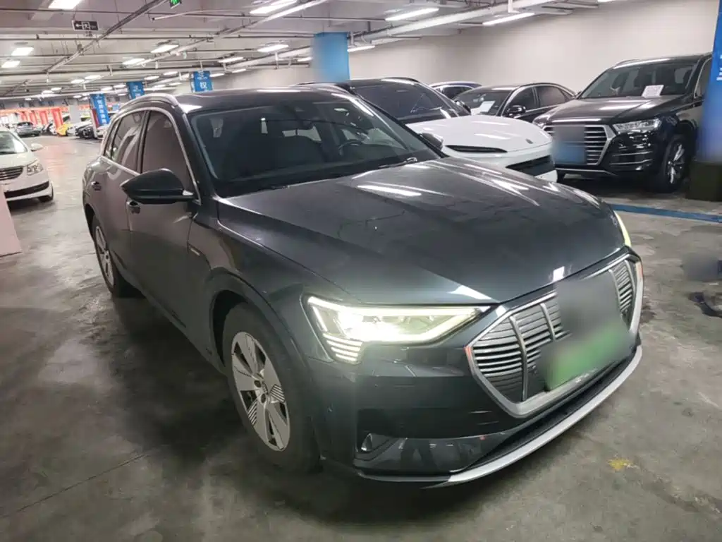 Audi e-tron (Import) — миниатюра 4