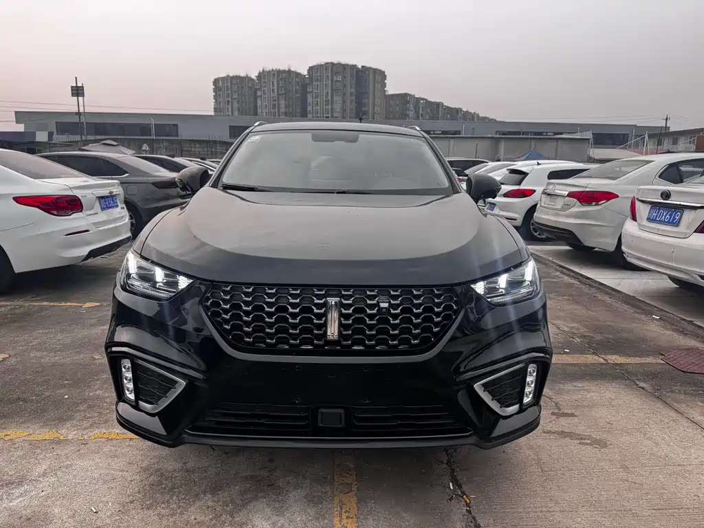 WEI PAI WEI BRAND VV5