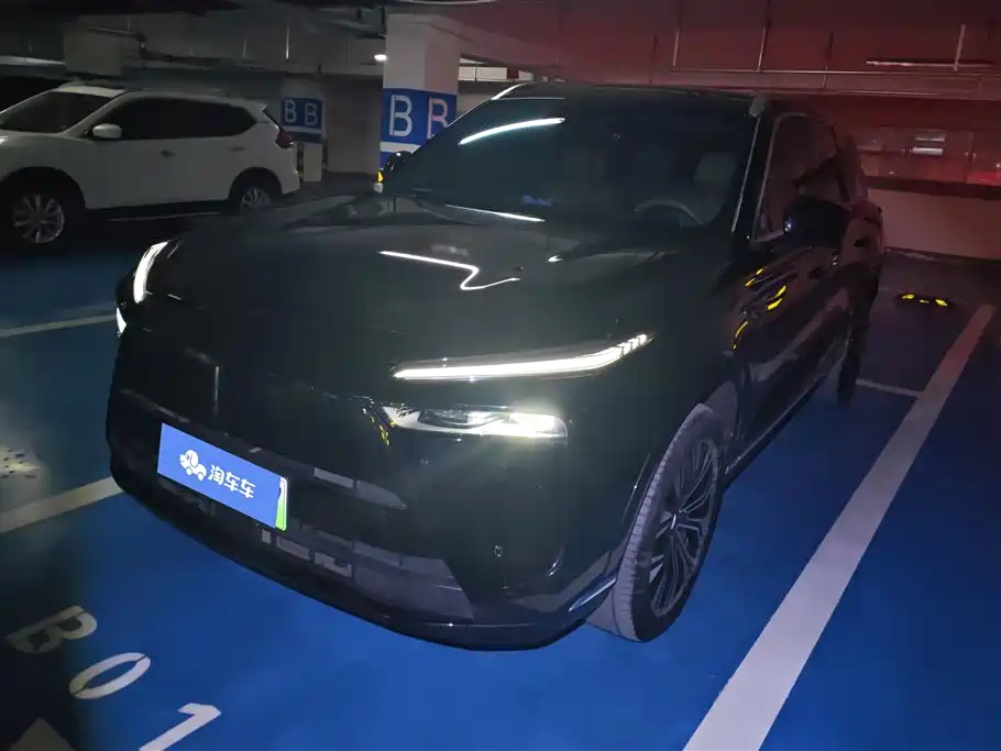 WEI PAI WEI BRAND BLUE MOUNTAIN