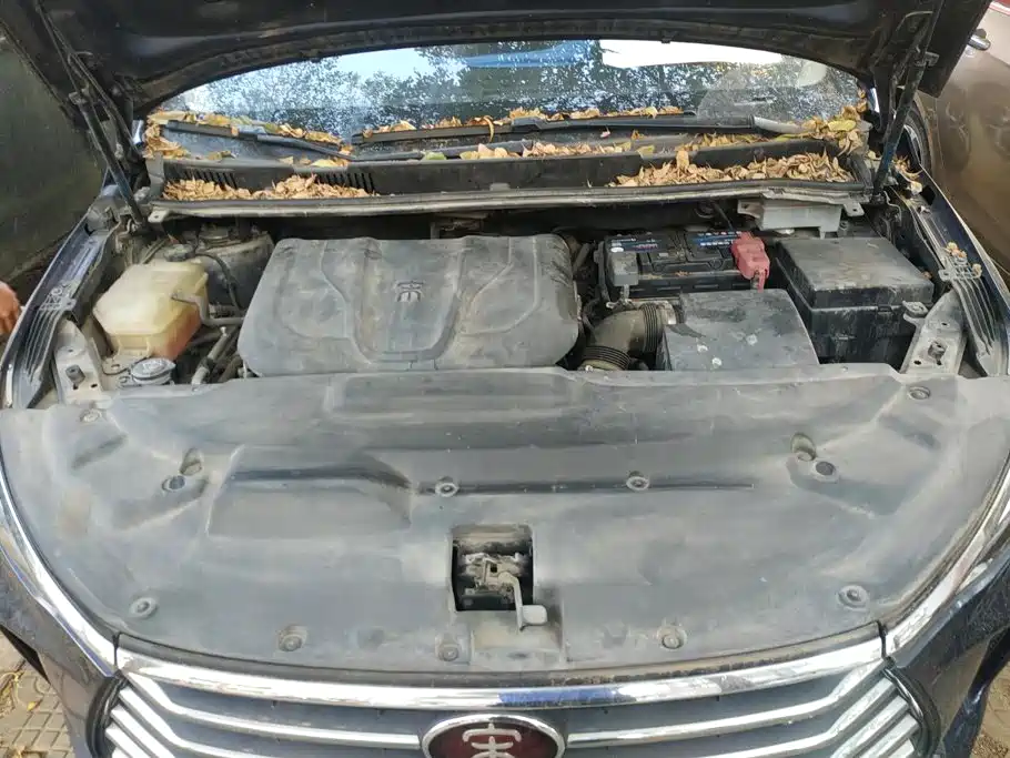 BYD MAX — миниатюра 10