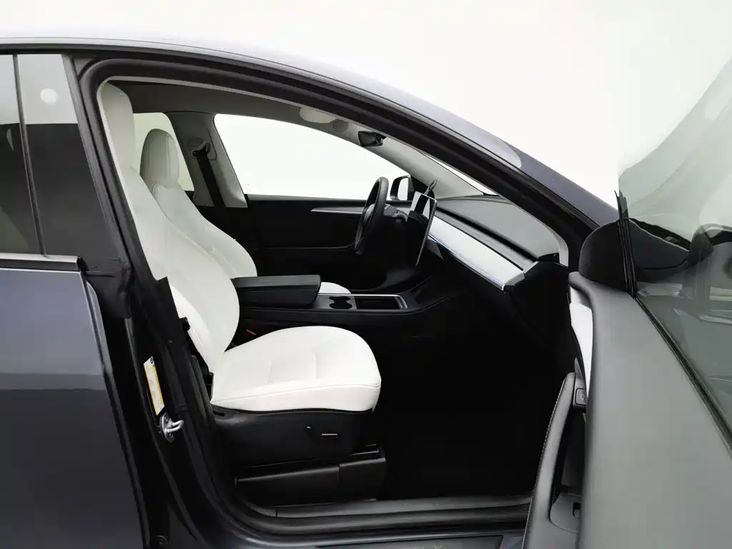 Tesla Model Y — миниатюра 23