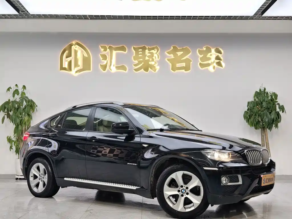 BMW X6 xDrive35i Sport Type, фото 4