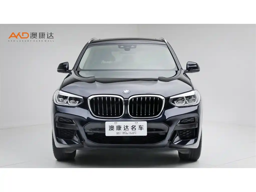 BMW X3 — миниатюра 2