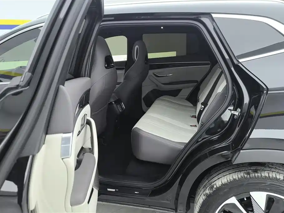 BYD SONGJIANG NEW ENERGY