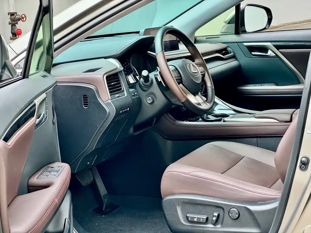 Lexus RX 2020 450h Elegant VI