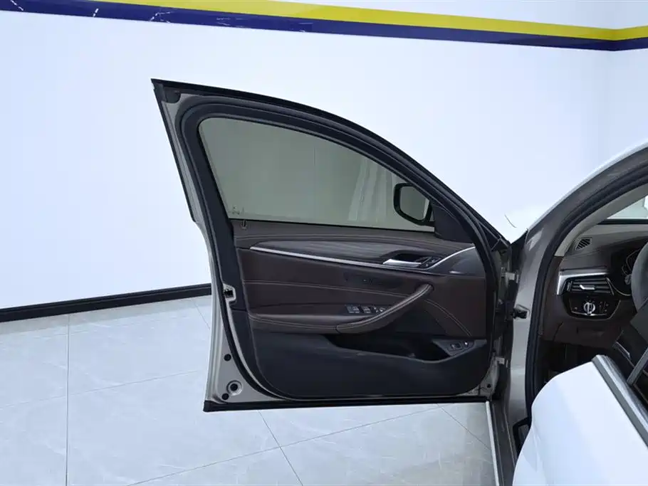 BMW 5 SERIES NEW ENERGY