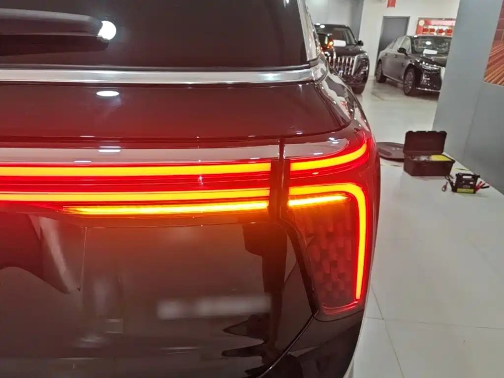 Hongqi Hongqi E-HS9 — миниатюра 8