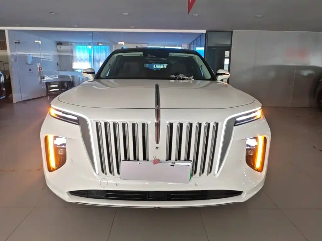 Hongqi Hongqi E-HS9 — миниатюра 3