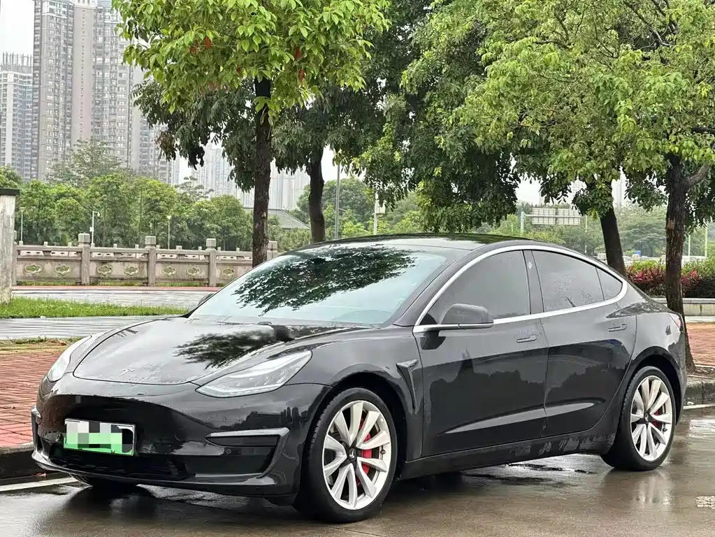 Tesla Model 3 2021