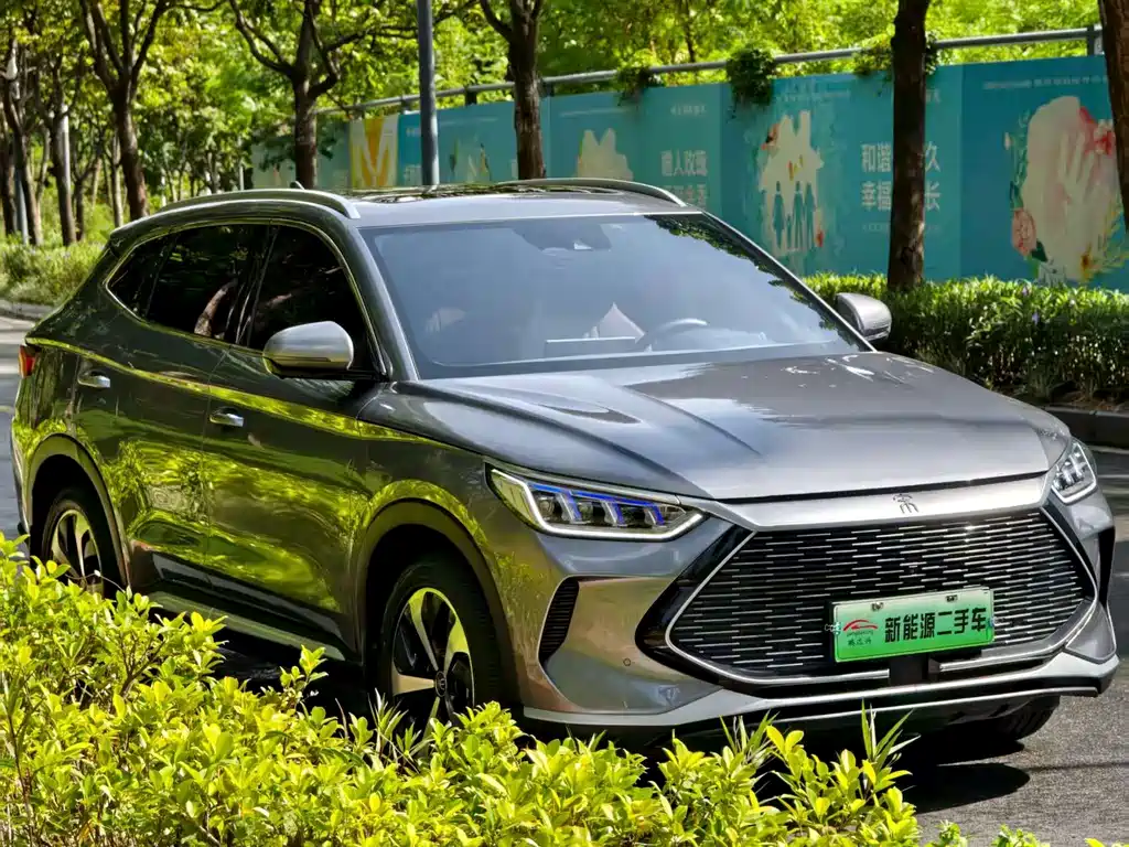 BYD SONGJIANG NEW ENERGY
